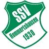 Wappen / Logo des Teams SSV Hommertshausen 2