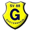 Wappen / Logo des Teams SV Gusternhain