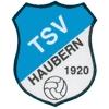 Wappen / Logo des Teams TSV Haubern
