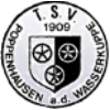 Wappen / Logo des Teams TSV Poppenhausen