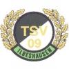 Wappen / Logo des Vereins TSV Ilbeshausen