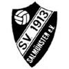 Wappen / Logo des Teams SV Salmnster