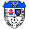 Wappen / Logo des Teams SG Treis/Allendorf