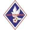 Wappen / Logo des Teams Barisspor Bad Homburg