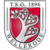 Wappen / Logo des Teams TSG Wellerode