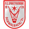 Wappen / Logo des Teams FC Schwalbach E1
