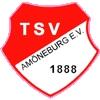Wappen / Logo des Vereins TSV Amneburg