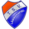 Wappen / Logo des Teams TSV Lmmerspiel 3