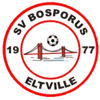 Wappen / Logo des Teams Bosporus Eltville