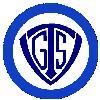 Wappen / Logo des Vereins TGSV Holzhausen