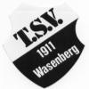 Wappen / Logo des Teams TSV Wasenberg