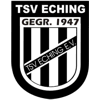 Wappen / Logo des Teams TSV Eching/FS