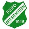 Wappen / Logo des Teams TSV Breidenstein