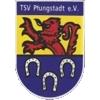 Wappen / Logo des Teams TSV Pfungstadt 4