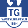 Wappen / Logo des Teams TG Sachsenhausen 4