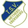 Wappen / Logo des Teams TSV Weyhers