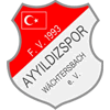 Wappen / Logo des Teams Ayyildizspor Wchtersb