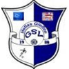 Wappen / Logo des Teams GSV Hellas Giessen