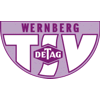 Wappen / Logo des Teams TSV Detag Wernberg