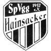 Wappen / Logo des Teams SpVgg Hainsacker