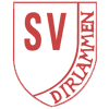 Wappen / Logo des Vereins SV Dirlammen