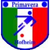 Wappen / Logo des Teams Primavera Hofheim 2