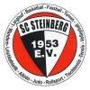 Wappen / Logo des Teams SC 1953 Steinberg