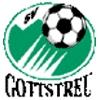 Wappen / Logo des Teams SV Gottstreu