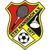 Wappen / Logo des Teams ETSV Hainsbach