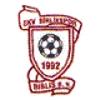 Wappen / Logo des Teams Birlikspor Biblis