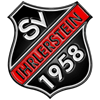 Wappen / Logo des Teams SV Ihrlerstein