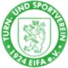 Wappen / Logo des Teams TSV Eifa