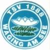 Wappen / Logo des Teams TSV Waging am See