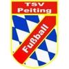 Wappen / Logo des Vereins TSV Peiting