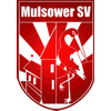 Wappen / Logo des Teams Mulsower SV