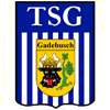 Wappen / Logo des Teams TSG Gadebusch Blau
