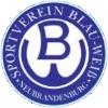 Wappen / Logo des Teams SV Blau-Wei Neubrandenburg 2