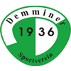 Wappen / Logo des Teams Demminer SV 91