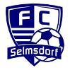 Wappen / Logo des Teams Selmsdorfer SV