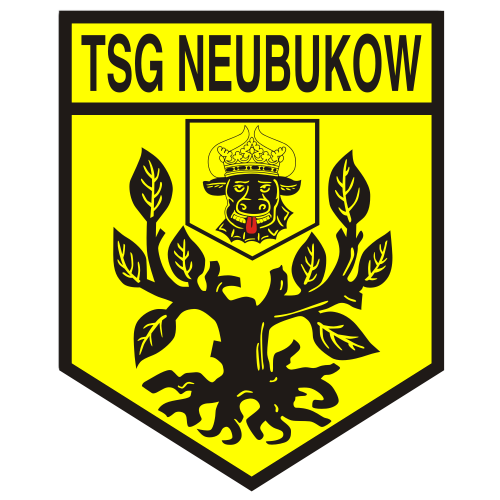 Wappen / Logo des Vereins TSG Neubukow
