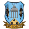 Wappen / Logo des Teams TSV 1862 Sagard