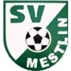 Wappen / Logo des Teams SV Grn-Wei Mestlin