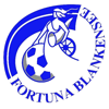 Wappen / Logo des Teams SV Fortuna Blankensee