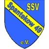 Wappen / Logo des Teams SSV Spantekow 49