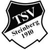 Wappen / Logo des Teams SG Steinberg 2 /SV Gifting 2