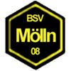 Wappen / Logo des Teams BSV Mlln