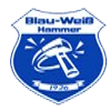 Wappen / Logo des Vereins Blau - Wei Hammer