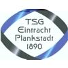 Wappen / Logo des Teams TSG Eintracht Plankstadt 2