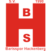 Wappen / Logo des Vereins Baris Spor Hackenberg