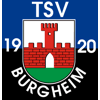 Wappen / Logo des Teams TSV Burgheim